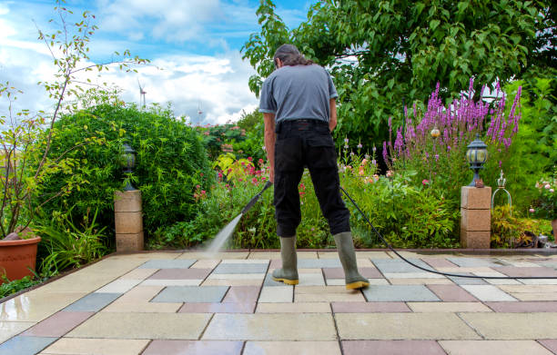 Best Pool Deck Cleaning  in Pomona, NJ